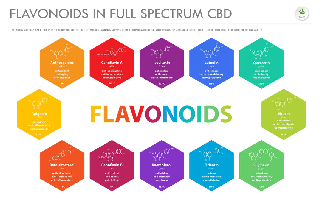Flavonoide