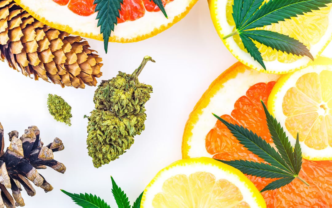 Terpene
