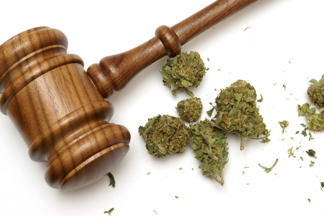 CBD: Die rechtliche Lage