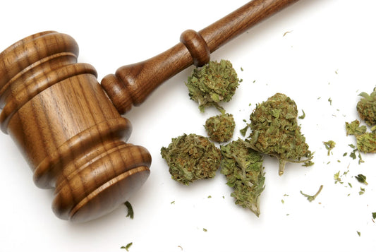 CBD: Die rechtliche Lage