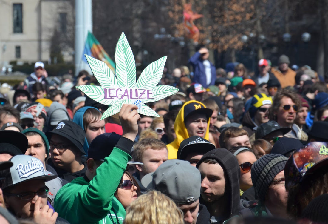 Cannabispolitik in Deutschland