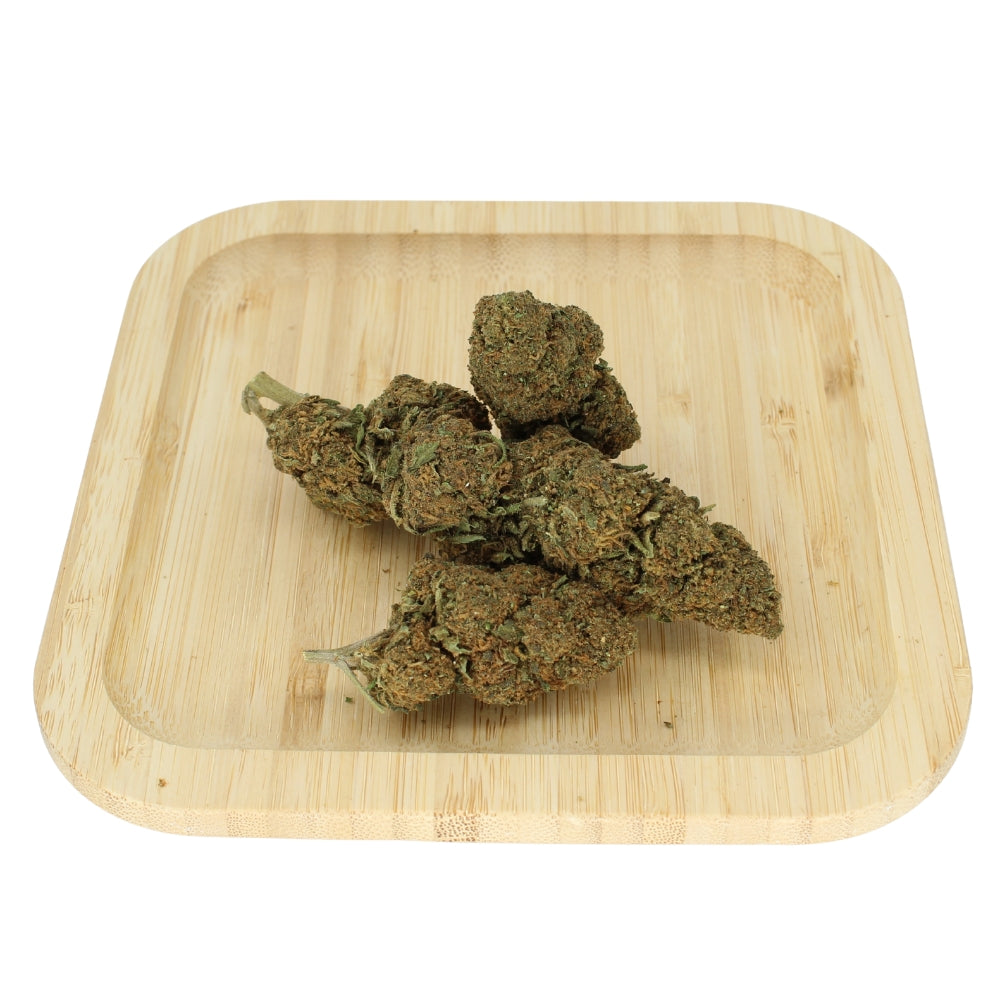 Weitwinkelaufnahme der CBD Blüte Candy Kush – süßlich-würziger Kush-Charakter