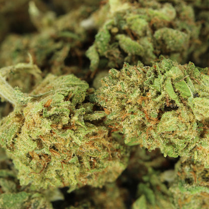 Makroaufnahme der CBD Blüte Fruit Punch Baby Buds – detaillierte Ansicht der kleinen kompakten Blüten