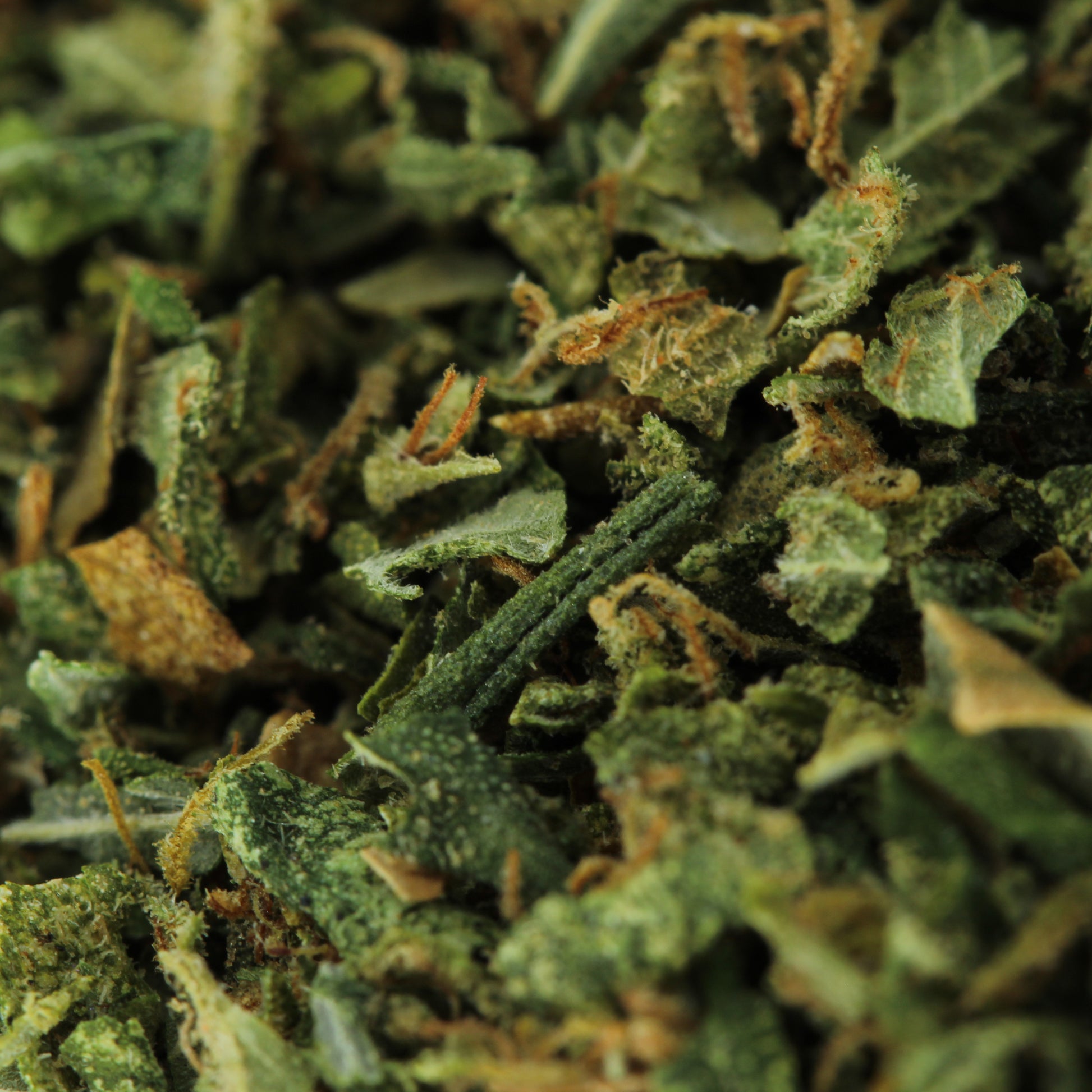 Makroaufnahme von CBD Trim – detaillierte Ansicht der CBD Blütenbestandteile und sugar leaves