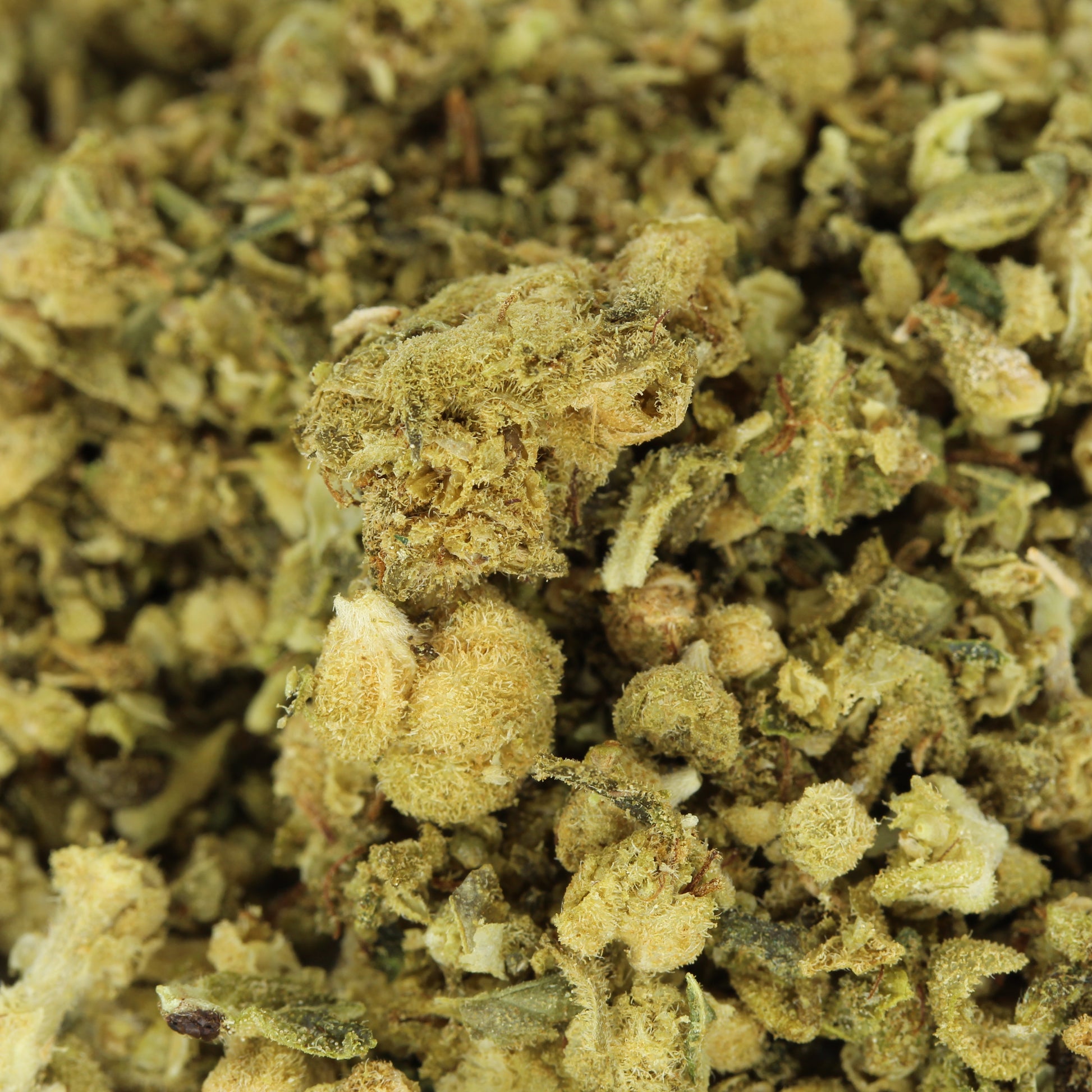 Makroaufnahme der H2 Blüte Jamaican Dream – detaillierte Ansicht der kompakten Blütenstruktur