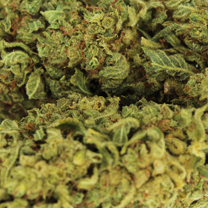 Makroaufnahme der H2 Blüte Lemon Haze – detaillierte Ansicht der hellen und harzigen Blütenstruktur