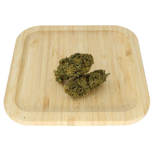 Weitwinkelaufnahme der H2 Blüte Og Kush – kräftiges, klassisches Kush-Aroma