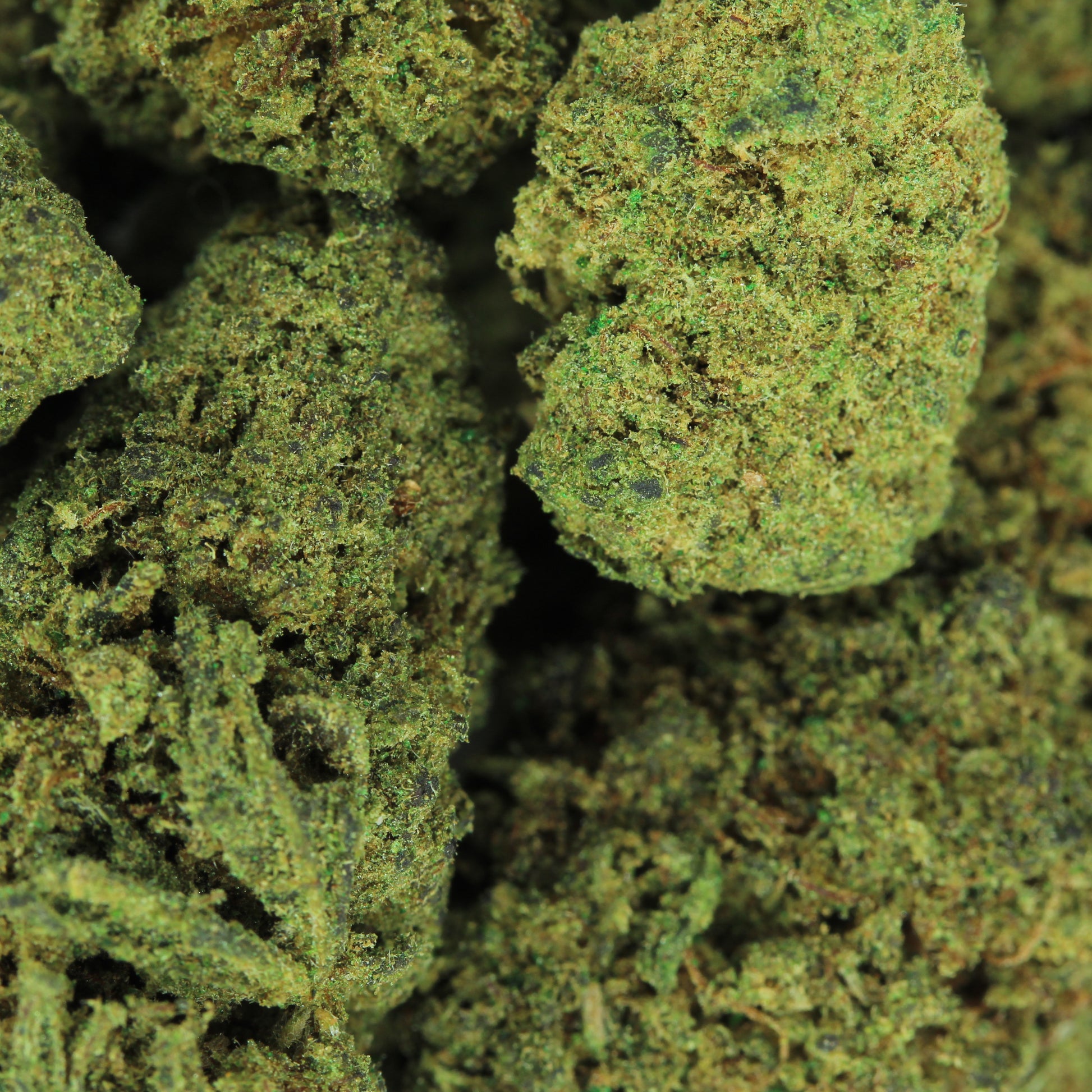 Makroaufnahme der PHC Blüte Candy Kush – detaillierte Ansicht der kompakten und harzigen Blüten
