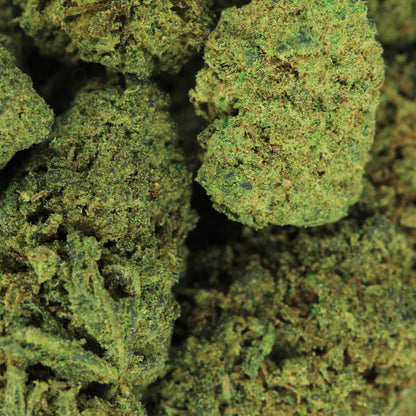 Makroaufnahme der PHC Blüte Candy Kush – detaillierte Ansicht der kompakten und harzigen Blüten